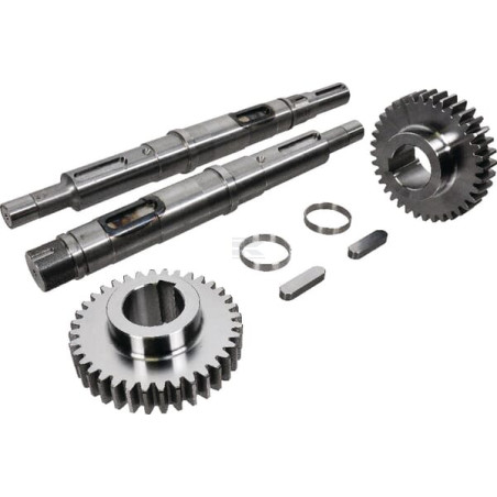 Joint spi BATTIONI PAGANI 4440001343
