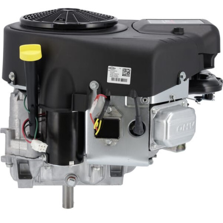 Moteur BRIGGS & STRATTON 44N6770017B5