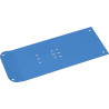 Plaque LEMKEN 4570524