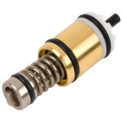 Limiteur KÄRCHER 45807923