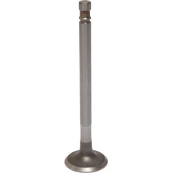 Soupape d'échappement RAICO 4579417N