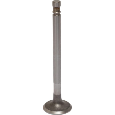Soupape d'échappement RAICO 4579417N