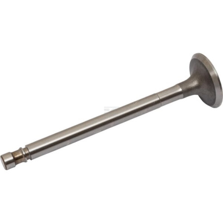 Soupape d'échappement RAICO 4579417N