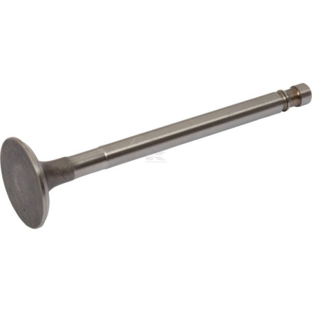 Soupape d'échappement RAICO 4579417N