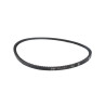 Courroie CASTELGARDEN - GGP 135064383/0