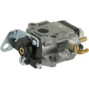 Carburateur AL-KO 462606