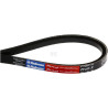 Courroie AGRIA 479073