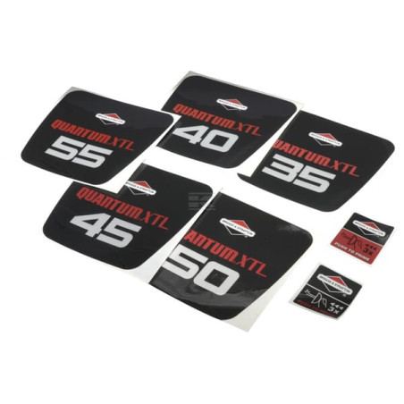 Kit BRIGGS & STRATTON 498606