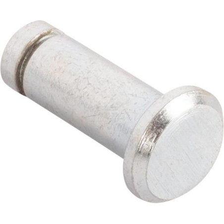 Goupille CNH 4998010