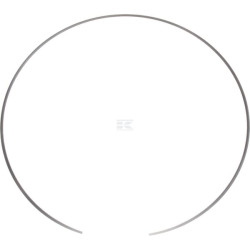 Circlip CNH 4997571