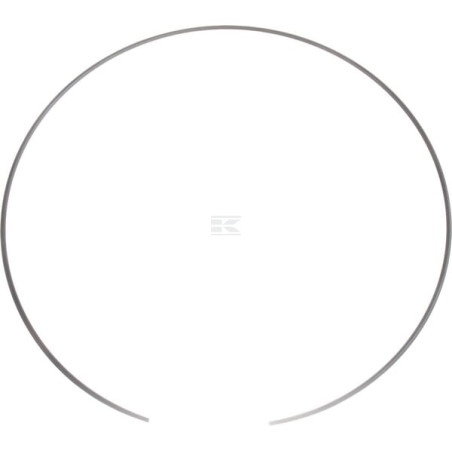 Circlip CNH 4997571