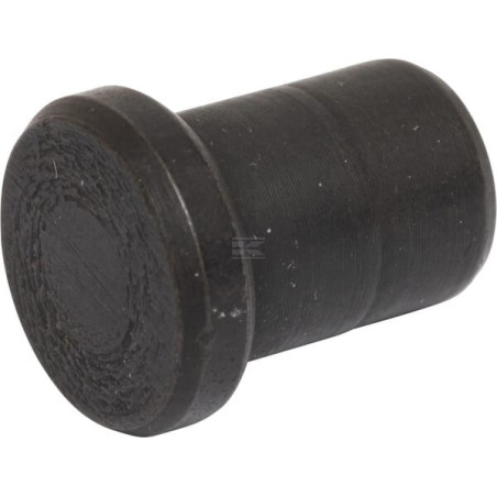 Chasse goupille RAICO 4999660N