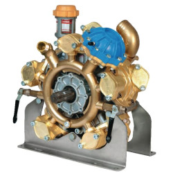 Pumpe BERTOLINI 496010973VD