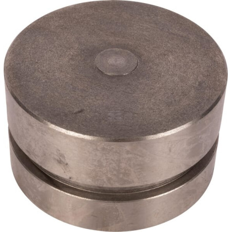 Boulon RAICO 4981457N