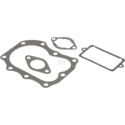 Kit BRIGGS & STRATTON 498534
