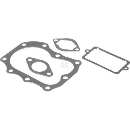 Kit BRIGGS & STRATTON 498534