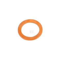 Bague d'étanchéité FPT 4894721FPT