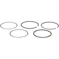 Ensemble de bagues BRIGGS & STRATTON 493782