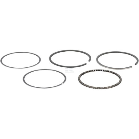 Ensemble de bagues BRIGGS & STRATTON 493782