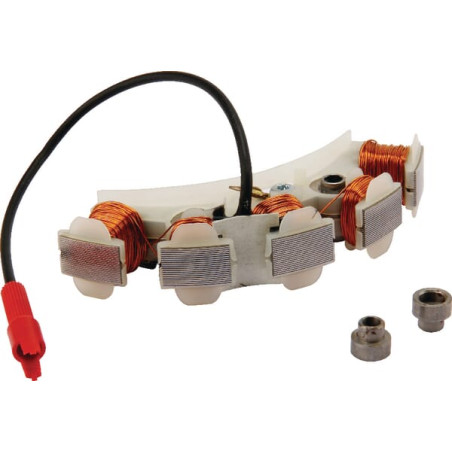 Alternateur BRIGGS & STRATTON 494254
