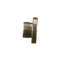 Bouchon fileté FPT 4894139FPT