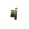 Bouchon fileté FPT 4894139FPT