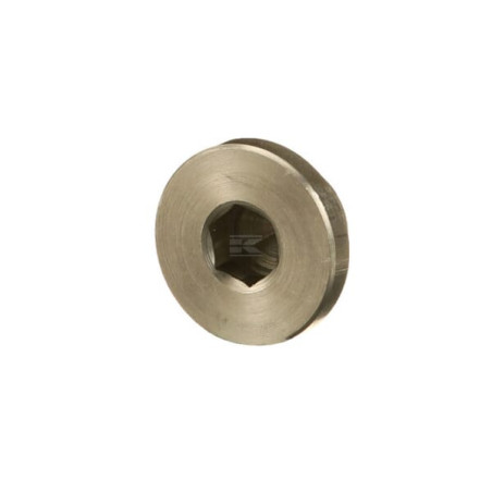 Bouchon fileté FPT 4894139FPT