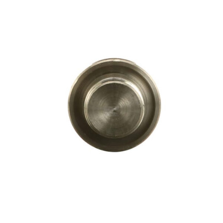 Bouchon fileté FPT 4894139FPT