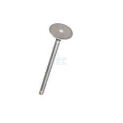 Soupape d'échappement FPT 4895051FPT