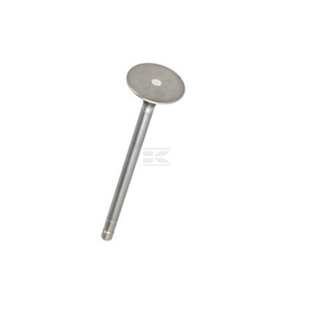 Soupape d'échappement FPT 4895051FPT