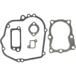 Kit BRIGGS & STRATTON 490563