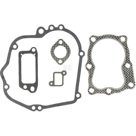 Kit BRIGGS & STRATTON 490563