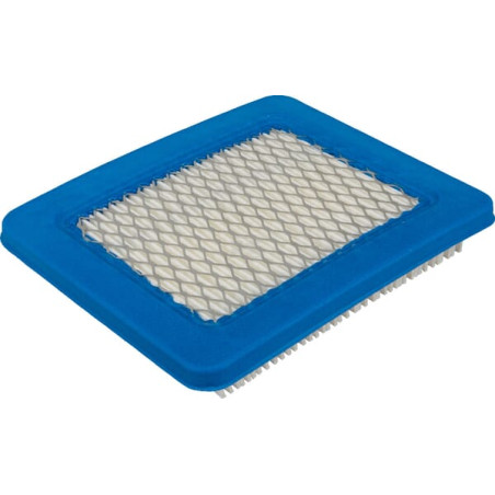 Filtre BRIGGS & STRATTON 491588S