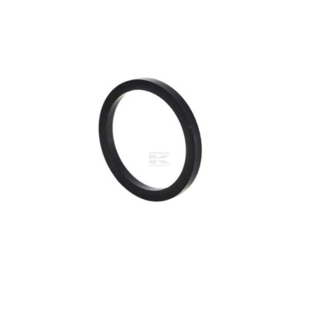 Porte-buse FPT 4895297FPT
