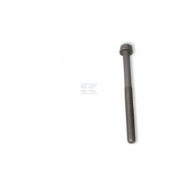 Boulon FPT 4891025FPT