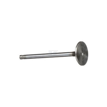 Soupape d'échappement CNH 4895188