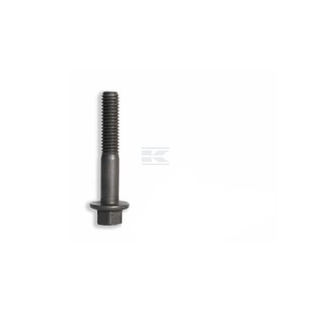 Boulon FPT 4895483FPT