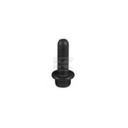 Boulon FPT 4899079FPT