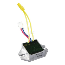 Régulateur BRIGGS & STRATTON 493219