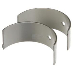 Coussinet FPT 500042636FPT