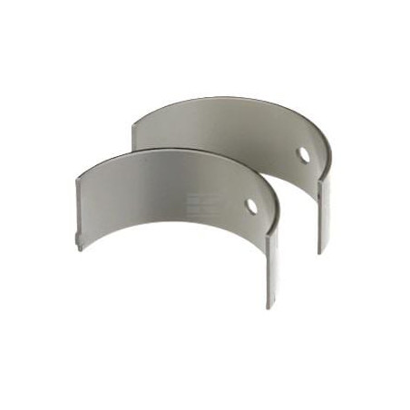 Coussinet FPT 500042636FPT