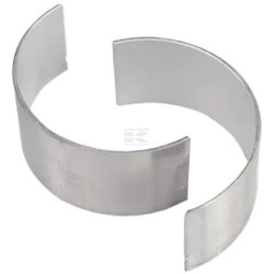 Coussinet FPT 500086847FPT
