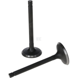 Kit de soupape LONCIN 5005500300001
