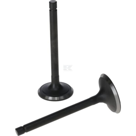 Kit de soupape LONCIN 5005500300001
