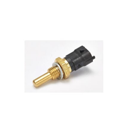 Sonde de température FPT 500382599FPT
