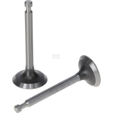 Kit LONCIN 5005501290001