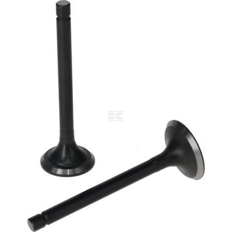 Kit LONCIN 5005500310001