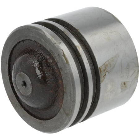 Piston UNIVERSEL 5002031N
