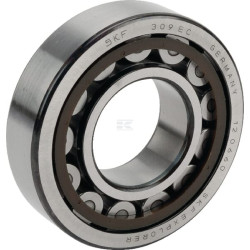 Roulements à rouleaux BATTIONI PAGANI 5012107049