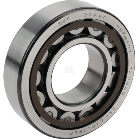 Roulements à rouleaux BATTIONI PAGANI 5012107049